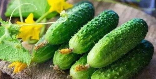 摸骨吃瓜,揭秘传统技艺在现代生活中的奇妙应用