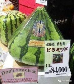 中国籍吃瓜群众,中国吃瓜群众视角下的热点事件盘点