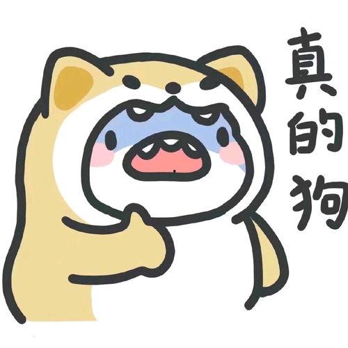 鲨鱼吃瓜表情包,趣味横生的海洋奇观