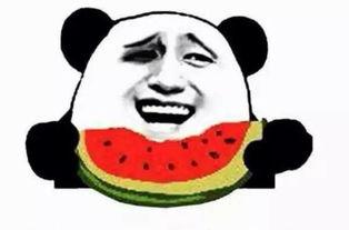 一博吃瓜姿势视频,萌态尽显，网友直呼可爱